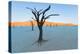 Dead trees in a desert, Dead Vlei, Sossusvlei, Namib Desert, Namib-Naukluft National Park, Namibia-null-Premier Image Canvas