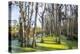 Dead Trees in the Swamps of the Magnolia Plantation Outside Charleston, South Carolina, U.S.A.-Michael Runkel-Premier Image Canvas