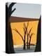 Dead Trees Silhouetted Against Sand Dune at Dead Vlei, Sossusvlei, Namibia, Africa-Wendy Kaveney-Premier Image Canvas