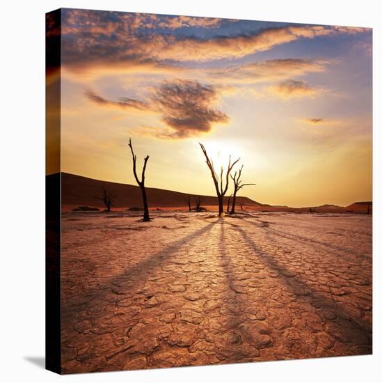 Dead Valley in Namibia-Andrushko Galyna-Premier Image Canvas