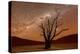 Dead Vlei, Dusk, the Namib-Naukluft National Park of Namibia-Felix Lipov-Premier Image Canvas