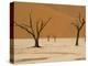 Dead Vlei, Sossusvlei Dune Field, Namib-Naukluft Park, Namib Desert, Namibia, Africa-Steve & Ann Toon-Premier Image Canvas