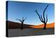 Deadvlei, Namibia, Africa-Karen Deakin-Premier Image Canvas