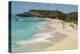 Deadwood Beach, Antigua, Antigua and Barbuda, Leeward Islands-Tony Waltham-Premier Image Canvas