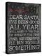 Dear Santa Nevermind-Jace Grey-Stretched Canvas