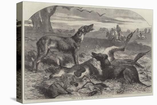 Death of a Red Forester or Old Man Kangaroo-Harrison William Weir-Premier Image Canvas