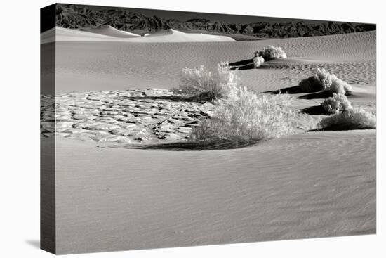 Death Valley Dunes I-George Johnson-Premier Image Canvas