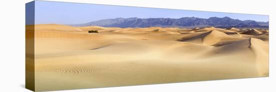 Death Valley. Landscape of Mesquite Flats Sand Dunes.-Janet Muir-Premier Image Canvas