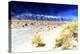 Death Valley-Philippe Hugonnard-Premier Image Canvas