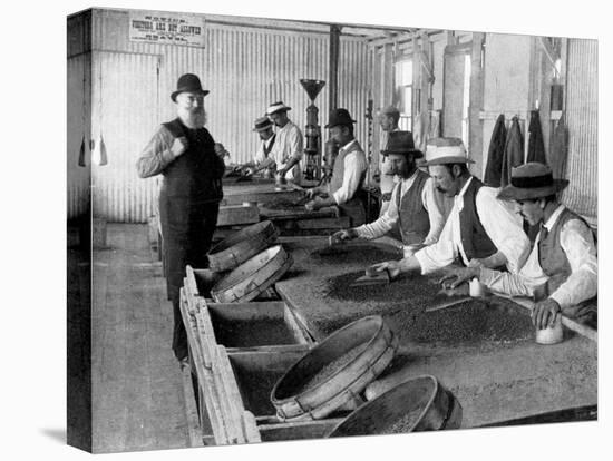 Debeers Workers Separating Freshly Quarried Diamonds from the Dirt They Were Mined Out Of-null-Premier Image Canvas