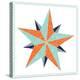 Decagram Star-Jeffrey Cadwallader-Stretched Canvas