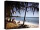 December 1946: Beach-Goers Relaxing and Swimming in the West Indies-Eliot Elisofon-Premier Image Canvas