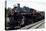 December 1946: Train Passing by on a Railroad in the West Indies-Eliot Elisofon-Premier Image Canvas