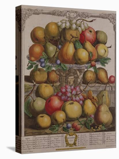 December, from 'Twelve Months of Fruits'-Pieter Casteels-Premier Image Canvas