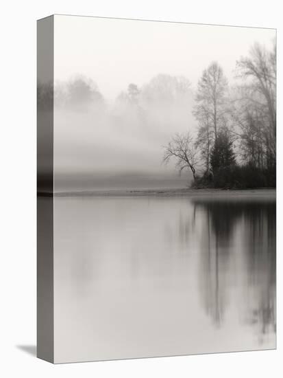 December Lake-Nicholas Bell-Premier Image Canvas