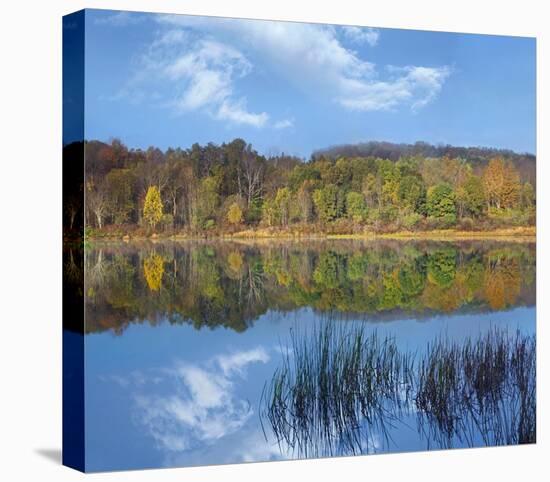 Deciduous forest along Lackawanna Lake, Ricketts Glen State Park, Pennsylvania-Tim Fitzharris-Stretched Canvas