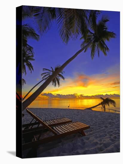 Deckchair on Tropical Beach by Palm Tree at Dusk and Blue Heron, Maldives, Indian Ocean-Papadopoulos Sakis-Premier Image Canvas