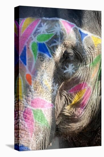 Decorated Elephant, Amber Elephant Sanctuary, Near Jaipur, Rajasthan, India, Asia-Annie Owen-Premier Image Canvas