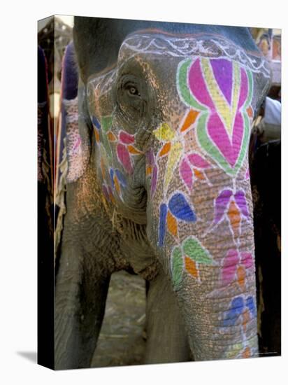 Decorated Elephant at the Amber Fort, Jaipur, Rajasthan State, India-Bruno Morandi-Premier Image Canvas