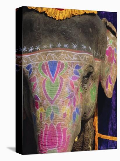 Decorated Elephant, Rajasthan, India-Bruno Morandi-Premier Image Canvas