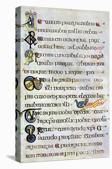 Decorated Text Page, 800 Ad-null-Premier Image Canvas