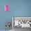 Decorative Coloured Lanterns Inside Joyesa Temple, Jongno-gu District, Seoul, South Korea-Gavin Hellier-Premier Image Canvas displayed on a wall