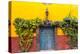 Decorative Doo on the Streets of San Miguel De Allende, Mexico-Chuck Haney-Premier Image Canvas