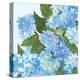 Decorative Hydrangea I-Kathrine Lovell-Stretched Canvas