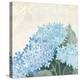 Decorative Hydrangea III Providence-Kathrine Lovell-Stretched Canvas