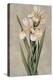 Decorative Irises I-Jill Deveraux-Stretched Canvas