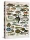 Decorative Print of 'Poissons' by Demoulin, 1897-null-Premier Image Canvas