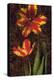 Decorative Tulips II-John Seba-Stretched Canvas