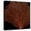 Deep 4: Red Fan Coral-Doris Mitsch-Premier Image Canvas