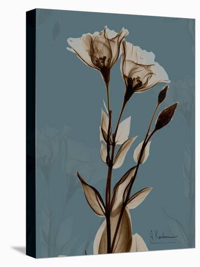 Deep Flora 2-Albert Koetsier-Stretched Canvas
