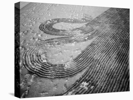 Deep Furrows Made to Prevent Drifting of Dirt on Farmland after Dust Storm in Dustbowl Area-Margaret Bourke-White-Premier Image Canvas