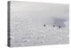 Deep Powder Snow, Skiing, Tyrol, Austria-Norbert Eisele-Hein-Premier Image Canvas