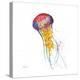 Deep Sea Jellies I-Paul Brent-Stretched Canvas