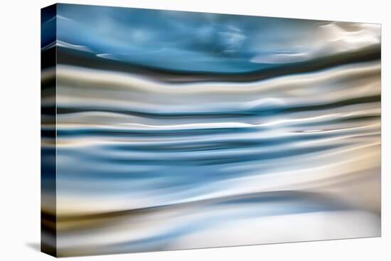 Deep Winter-Ursula Abresch-Premier Image Canvas