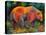 Deep Woods Grizz-Marion Rose-Premier Image Canvas