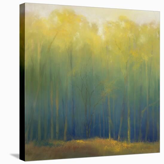 Deep Woods in Summer-Teri Jonas-Premier Image Canvas