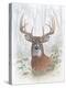 Deer Buck Portrait-Ron Jenkins-Stretched Canvas