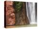 Deer Creek Falls-Craig Lovell-Premier Image Canvas