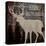 Deer Crossing-Piper Ballantyne-Stretched Canvas