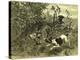 Deer Dog Hunt Austira 1891-null-Premier Image Canvas