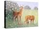 Deer Family-Pat Scott-Premier Image Canvas