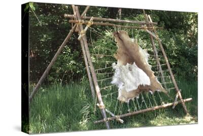 Deer Hide Stretched on Sapling Frame to Be Scraped and Tanned, Heritage  Hill, Green Bay, Wisconsin' Giclee Print