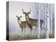 Deer in Birch Woods-Rusty Frentner-Premier Image Canvas
