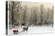 Deer In Forest-Nancy Tillman-Stretched Canvas