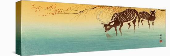 Deer in Shallow Water-Koson Ohara-Premier Image Canvas