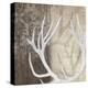 Deer Lodge I-Tandi Venter-Stretched Canvas